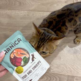 Корм для кошек Carnica 85г кусочки в желе с рыбой: отзыв пользователя. Зоомагазин Зоозавр