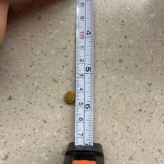 Фото отзыва 10442269