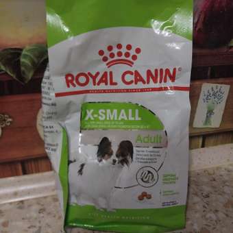 Корм для собак ROYAL CANIN миниатюрных пород 1.5кг: отзыв пользователя. Зоомагазин Зоозавр