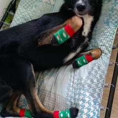 Фото отзыва 10754144