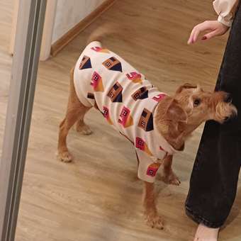 Джемпер для собак и кошек Зоозавр: отзыв пользователя. Зоомагазин Зоозавр