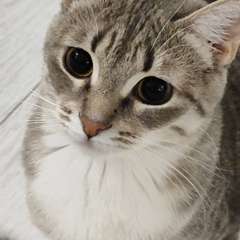 Фото отзыва 10979995