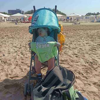 Коляска прогулочная Babyton Zoo Blue: отзыв пользователя ДетМир