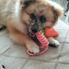 Фото отзыва 10828852