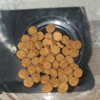 Корм сухой для кошек PRO PLAN 400г с курицей: отзыв пользователя. Зоомагазин Зоозавр