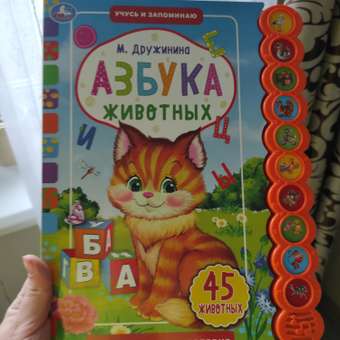 Книга УМка Азбука животных Дружинина 318153: отзыв пользователя Детский Мир