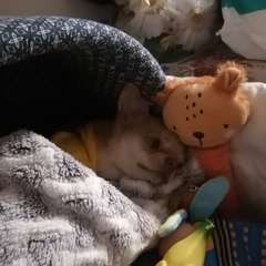 Фото отзыва 10296574