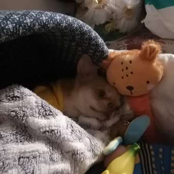 Игрушка для собак Barbaks Лев Арсений с длинной шеей 65*10см пищит шуршит: отзыв пользователя. Зоомагазин Зоозавр