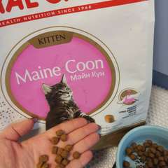 Фото отзыва 10764406