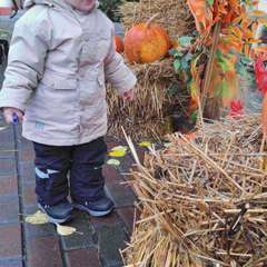 Фото отзыва 10562131