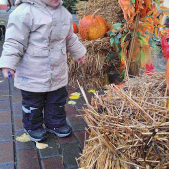 Шапка Reima: отзыв пользователя Детский Мир