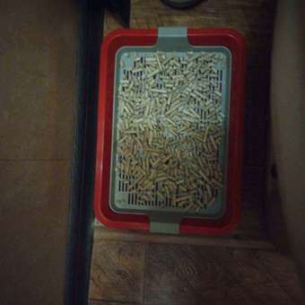 Туалет для кошек Зооэкспресс Кис с сеткой малый: отзыв пользователя. Зоомагазин Зоозавр