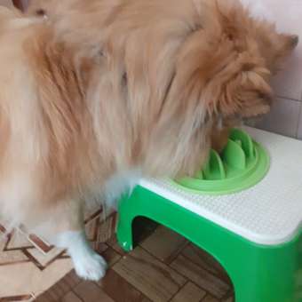 Корм для собак GRANDORF Dog White Fish Mini белая рыба для собак мини пород 3кг: отзыв пользователя. Зоомагазин Зоозавр