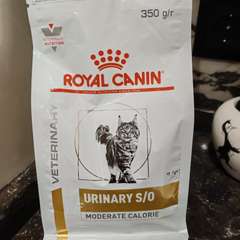 Фото отзыва 10736005