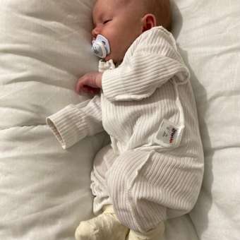 Пустышка Canpol Babies силикон анатомическая от 0 мес. 2 шт.: отзыв пользователя ДетМир