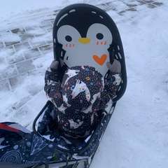 Фото отзыва 10829760