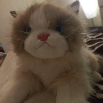 Мягкая игрушка ТОТОША Плюшевая кошка, мяукает, 40 см: отзыв пользователя Детский Мир