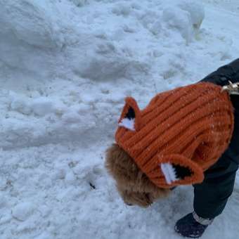 Шапка-шлем для собак и кошек Зоозавр: отзыв пользователя. Зоомагазин Зоозавр