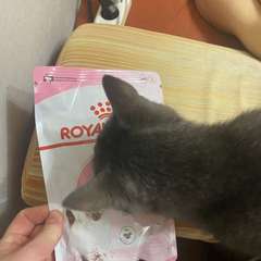 Фото отзыва 10837376