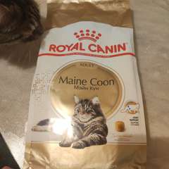 Фото отзыва 10897118