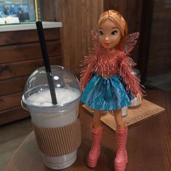 Кукла модельная Winx Флора: отзыв пользователя ДетМир
