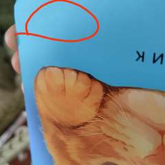 Фото отзыва 10041957