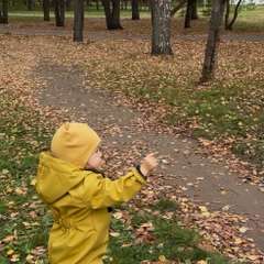 Фото отзыва 10518189