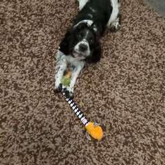 Фото отзыва 11087342