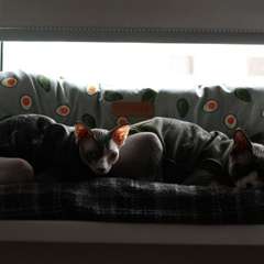 Фото отзыва 11035044