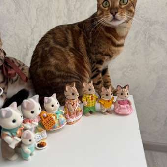 Игровой набор Sylvanian Families Семья Латте котов: отзыв пользователя ДетМир