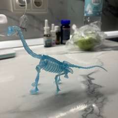 Фото отзыва 11151905