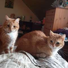 Фото отзыва 10986880