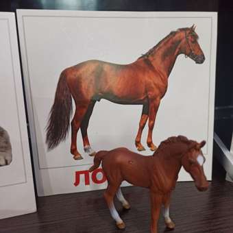 Фигурка Collecta Жеребец чистокровный: отзыв пользователя Детский Мир