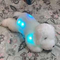 Фото отзыва 10762293