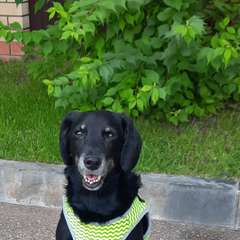 Фото отзыва 9920046