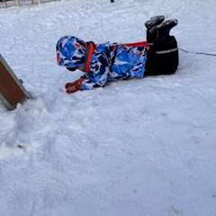 Фото отзыва 8570883