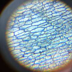 Фото отзыва 11097487