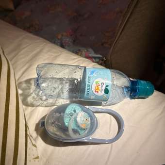 Футляр для пустышки BabyGo: отзыв пользователя Детский Мир