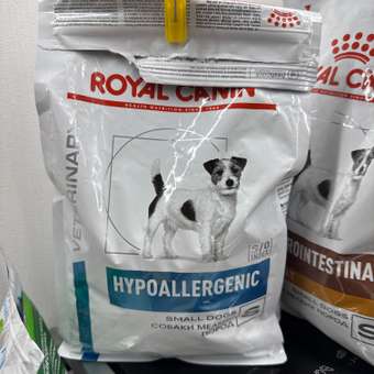 Корм для собак ROYAL CANIN Hypoallergenic HDS24 малых пород с пищевой аллергией 1кг: отзыв пользователя. Зоомагазин Зоозавр
