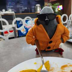 Фото отзыва 11034222