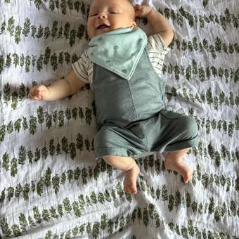 Комплект Carters: отзыв пользователя Детский Мир