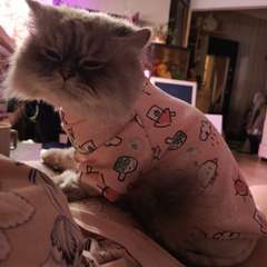 Фото отзыва 10780512