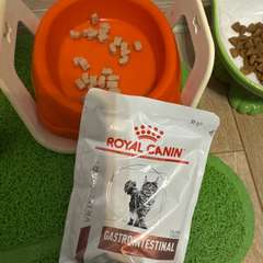 Фото отзыва 10918810