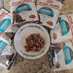 Фото отзыва 10975415