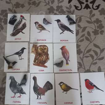 Игровой набор Весна: отзыв пользователя Детский Мир