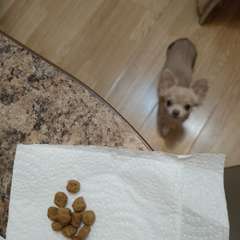 Фото отзыва 10751783