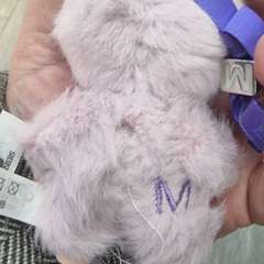 Фото отзыва 11264148