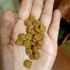 Фото отзыва 10579692