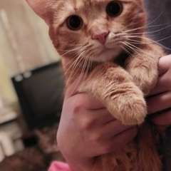 Фото отзыва 10757605