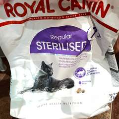 Фото отзыва 10522927